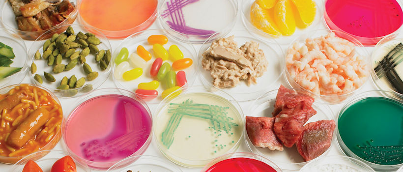 Microbiological Testing